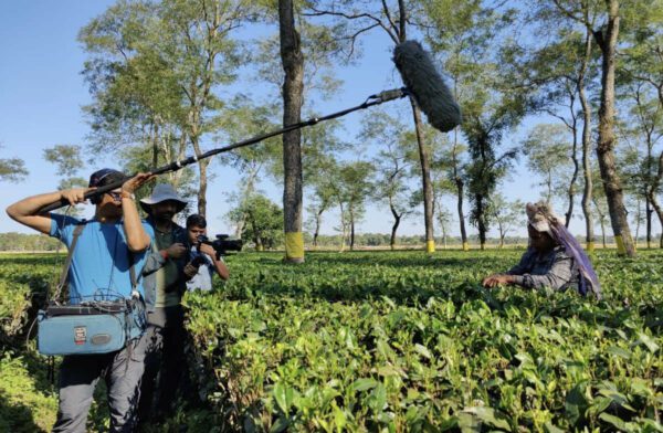 Quite Frankly Production Bangalore - Tea Picking