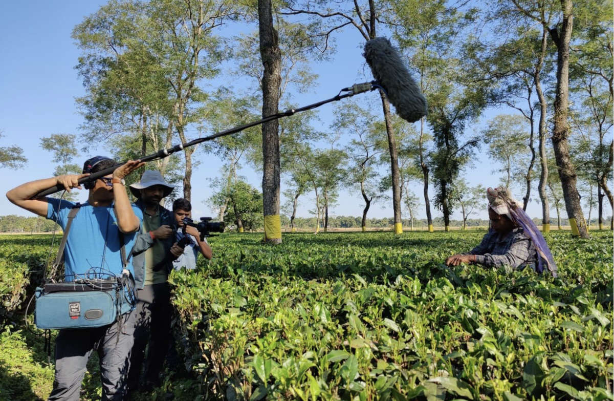 Quite Frankly Production Bangalore - Tea Picking